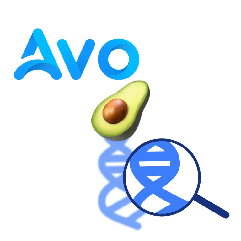 Avo 🥑 RRR